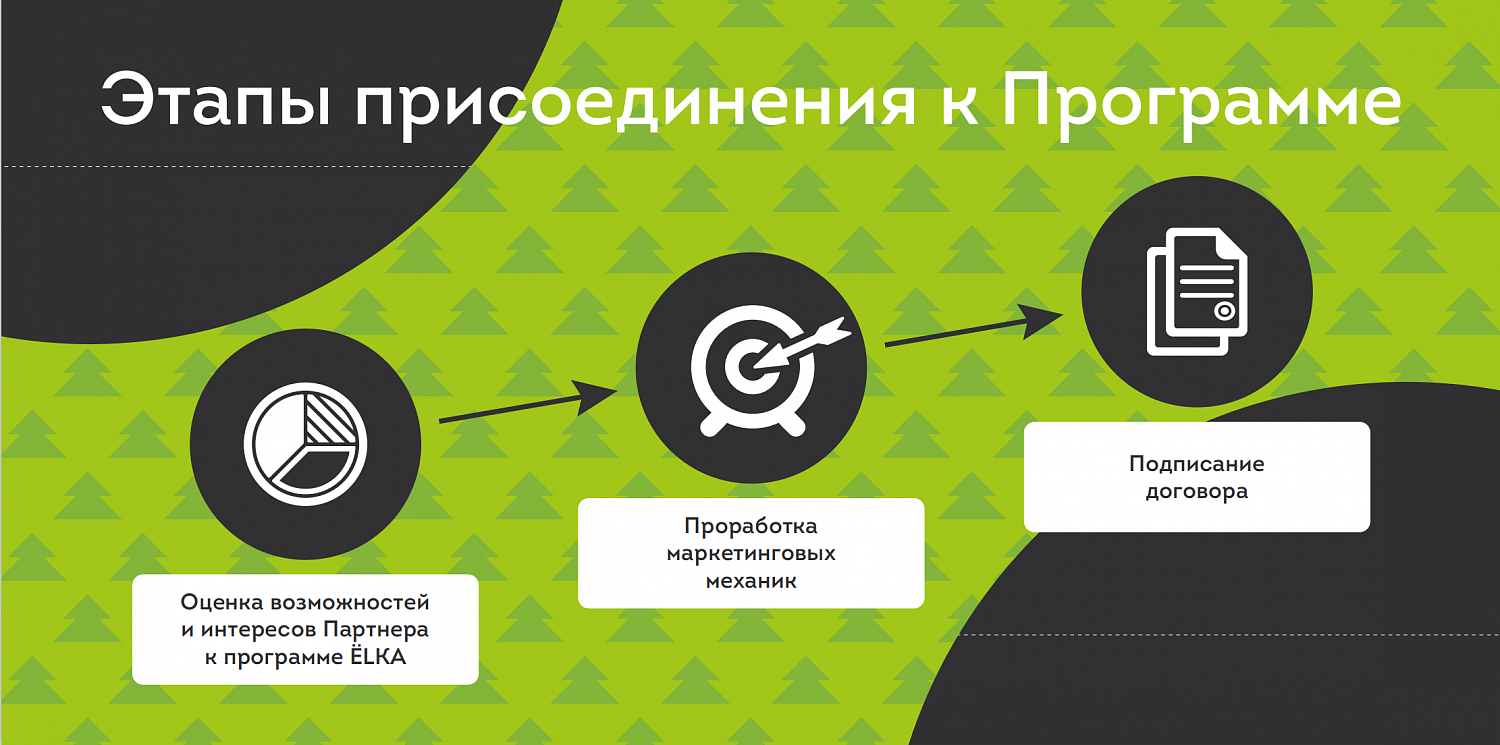 Презентация программы лояльности для студентов - ЁLKA